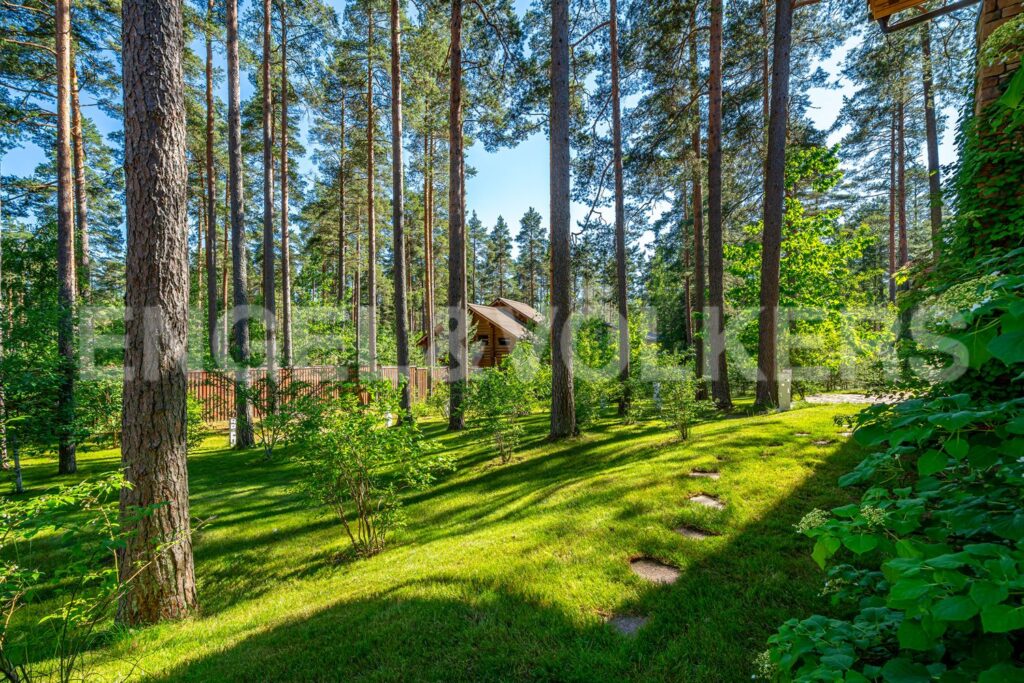 пос. Сосново, ул. Мередианная, д. 34 11. Территория участка