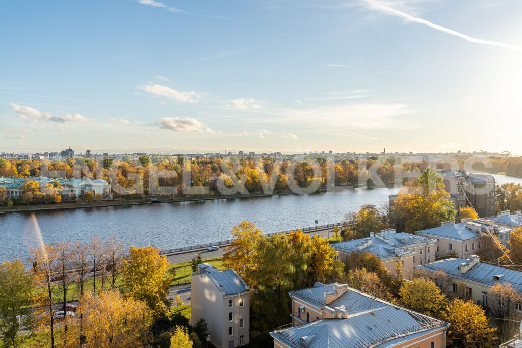 ул. Савушкина д. 36 Вид на каменный